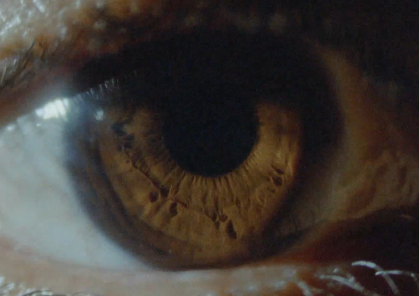 Mauricio Freyre, Limpia con huevo / Mal de ojo, película, 2025