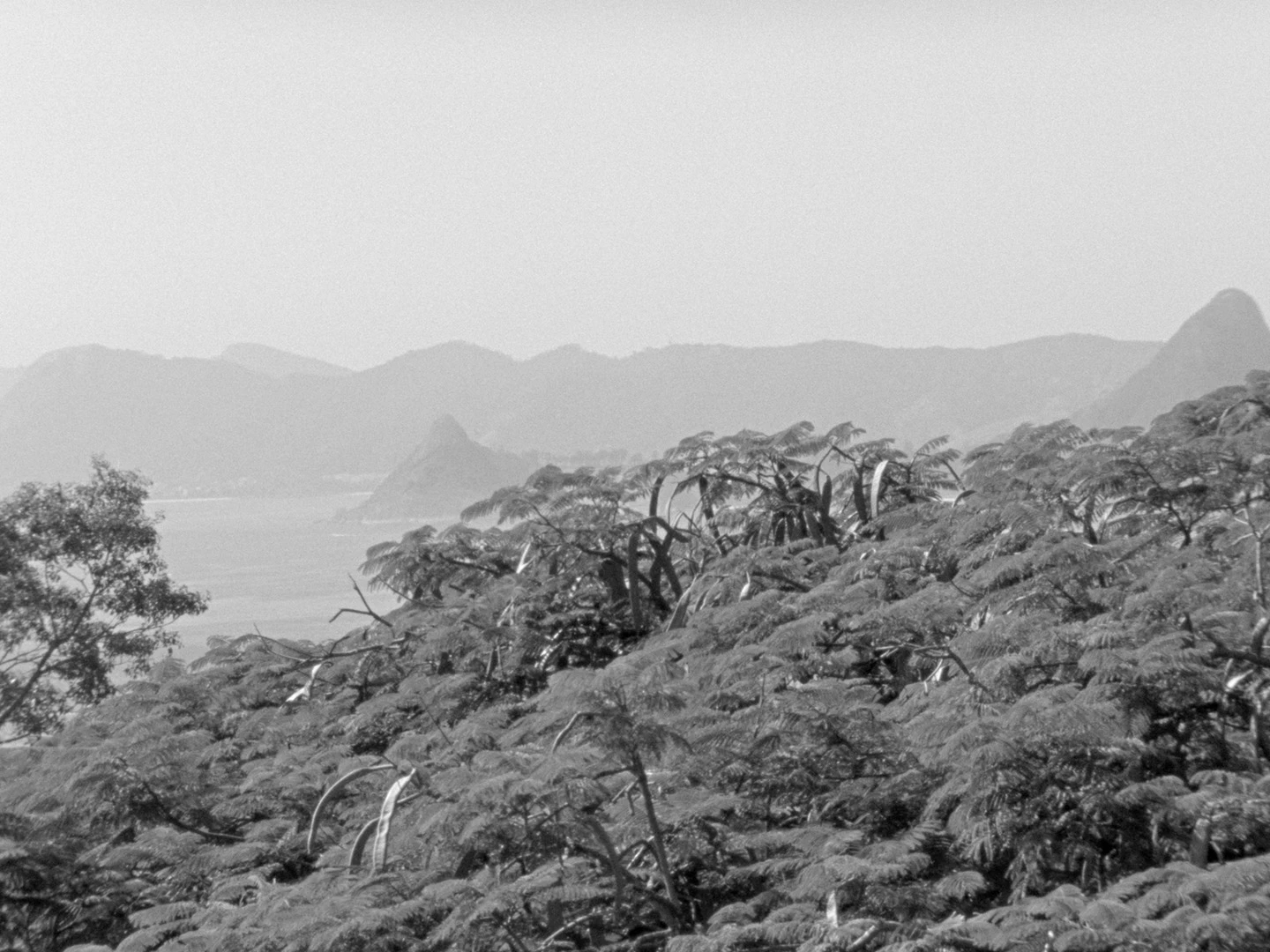 Tamar Guimarães y Kasper Akhøj, A família do Capitao Gervásio, 2013, película 