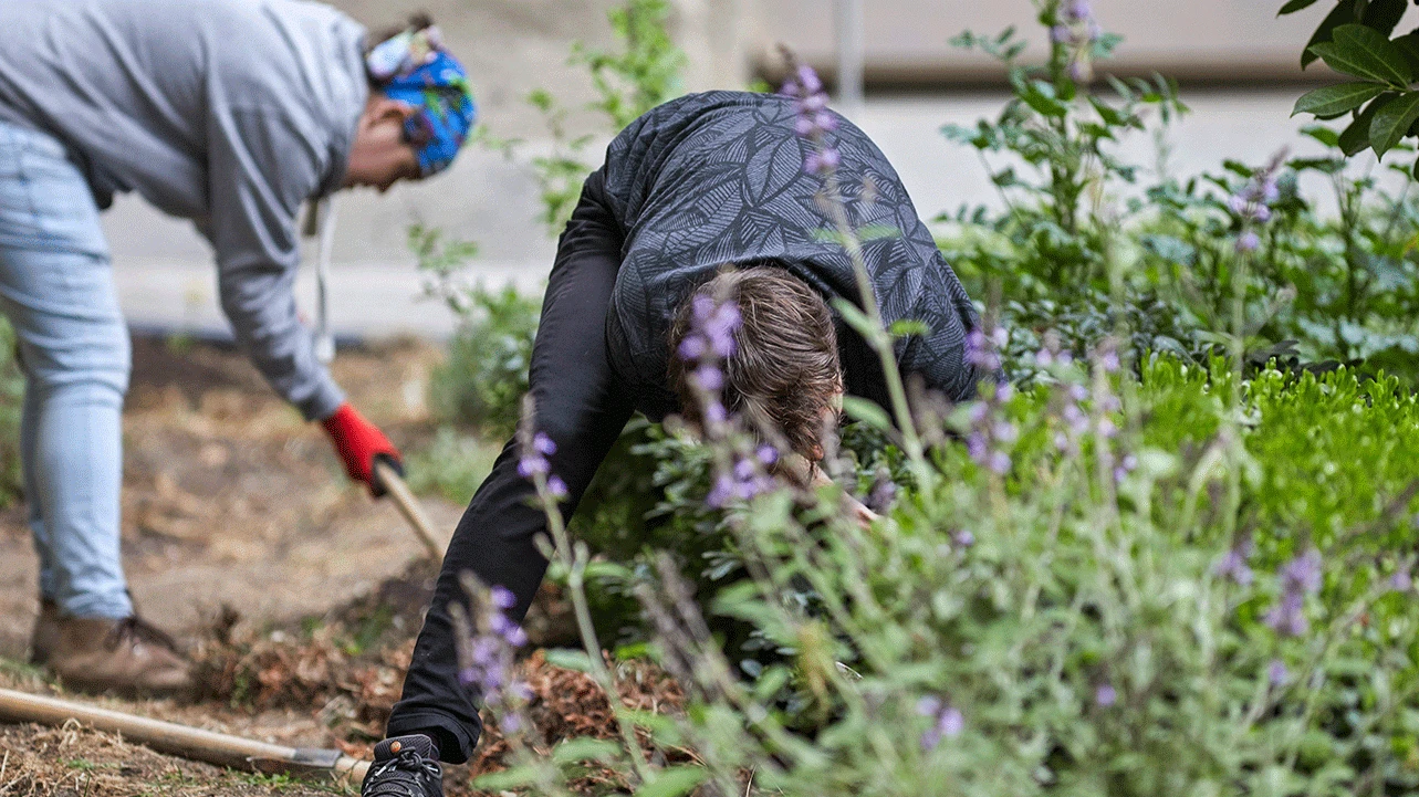 Jardín de las mixturas, Jardín Sabatini, Museo Reina Sofía, 14 de junio, 2019. Fotografía: Román Lores