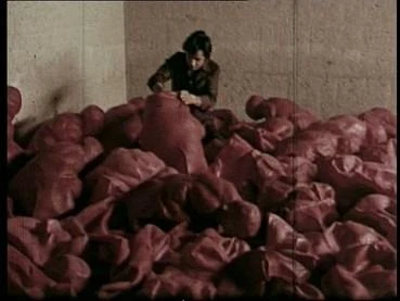 El cine en los Encuentros de Pamplona