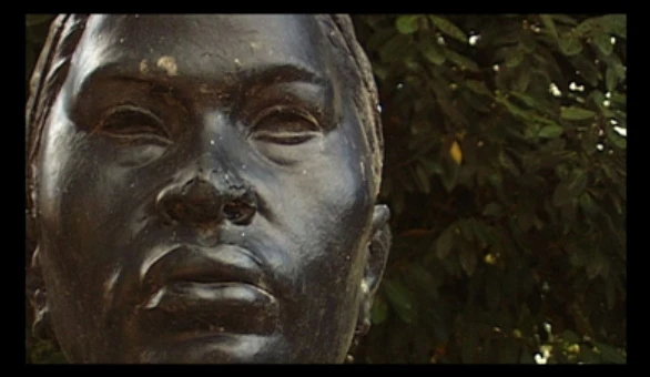 Vasco Araujo. O Jardim, 2005