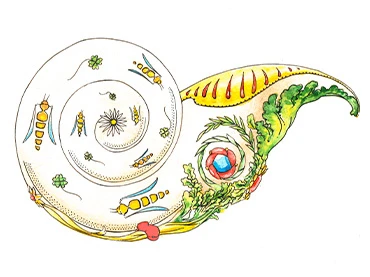 Élan d&#039;Orphium, Vaso de fortuna, 2023
