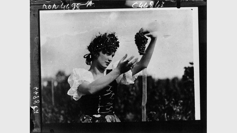 Cosecha 2014. Imagen gallica.bnf.fr / Bibliothèque nationale de France