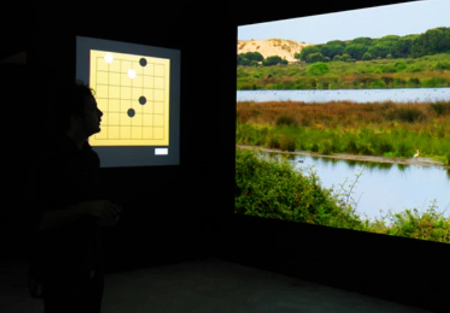 Lillian Ball. Ballhorses, 2008