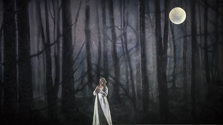 Los puritanos (int). TMS 2014. Foto Patricio Melo