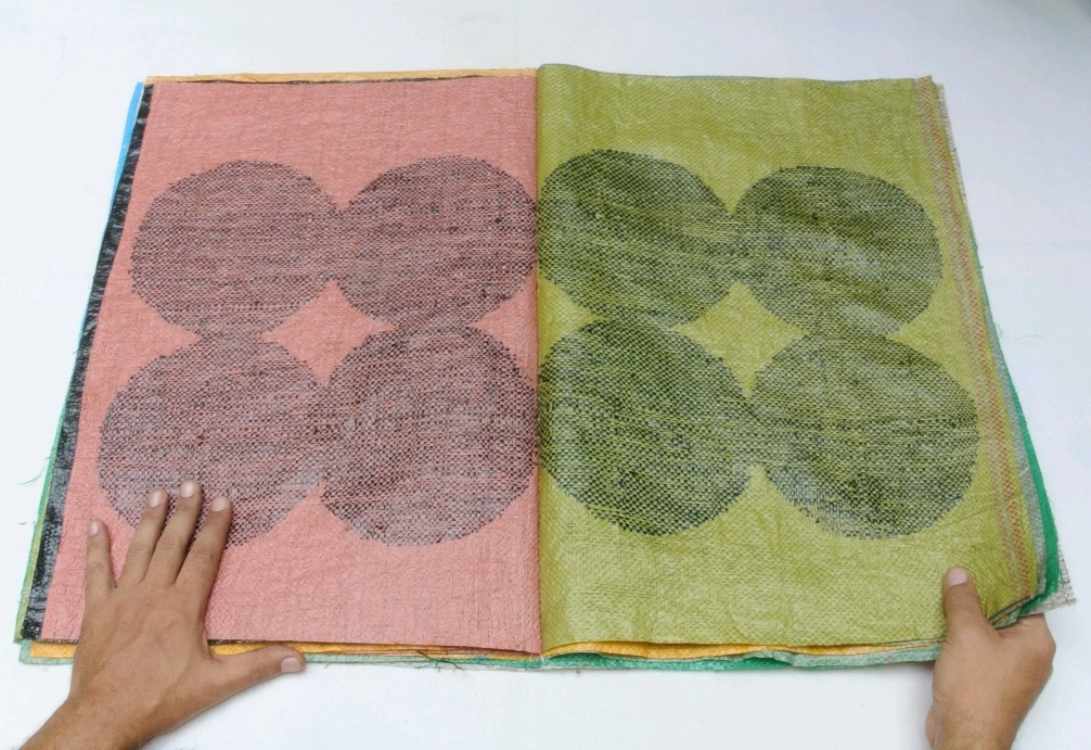 Esmelyn Miranda, Mitosis o el afán de seguir. (Serie Materia Flexible), 2024-2025