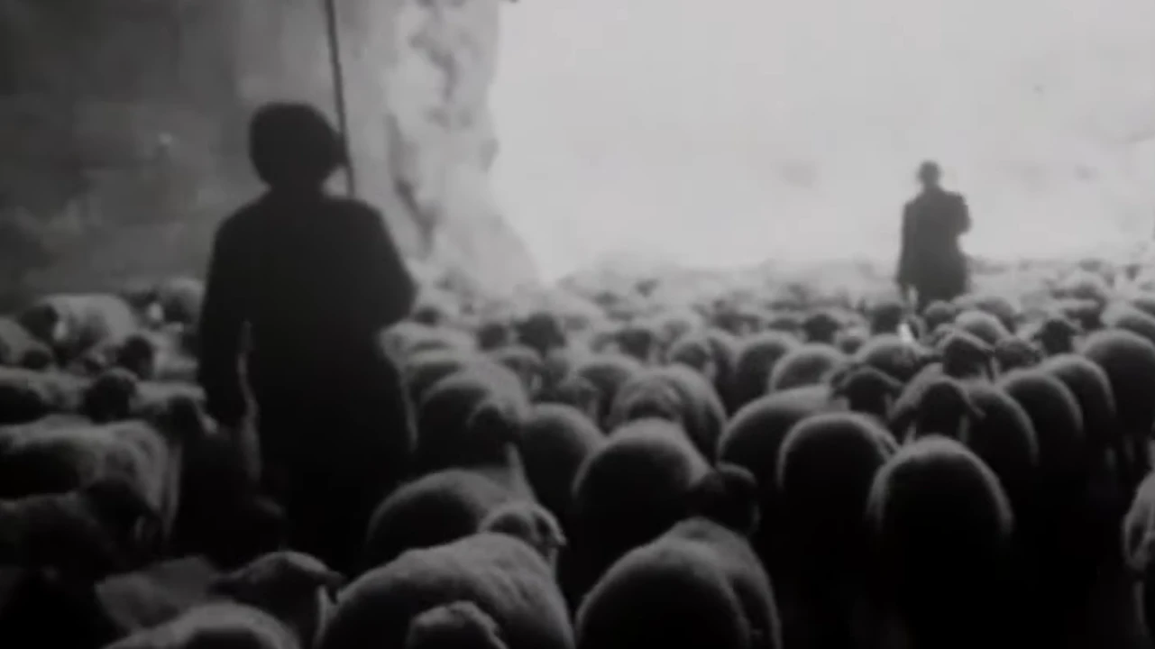 Artavazd Pelechian, Vremena goda [Las estaciones], 1975, película