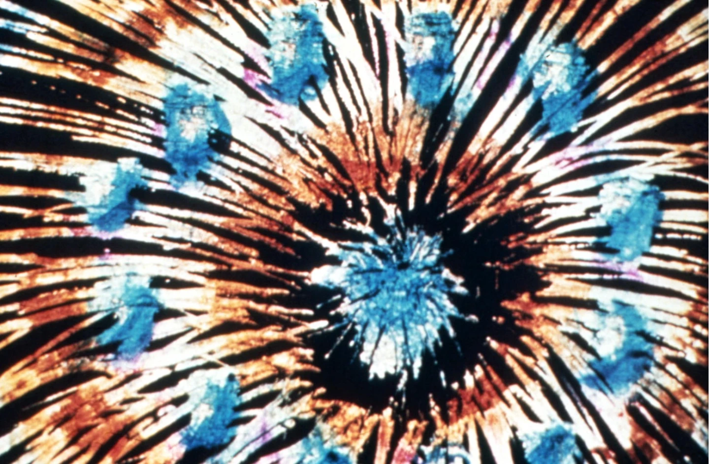 Norman McLaren, Blinkity Blank [Parpadeo en blanco], película, 1955. Cortesía del National Film Board de Canadá. Todos los derechos reservados