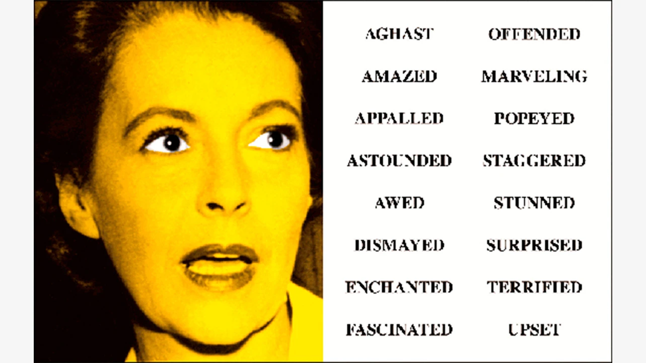 John Baldessari, Prima Facie (Third State): From Aghast to Upset [Prima Facie (tercer estado): de aterrado a disgustado], 2005. Museo Reina Sofía