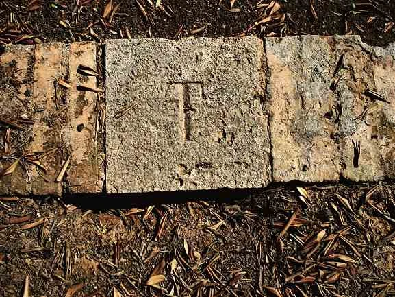 Virginia Villaplana. Instantes de la memoria. Fragmentos del libro, fotografías y documental del proyecto, 2006-2009