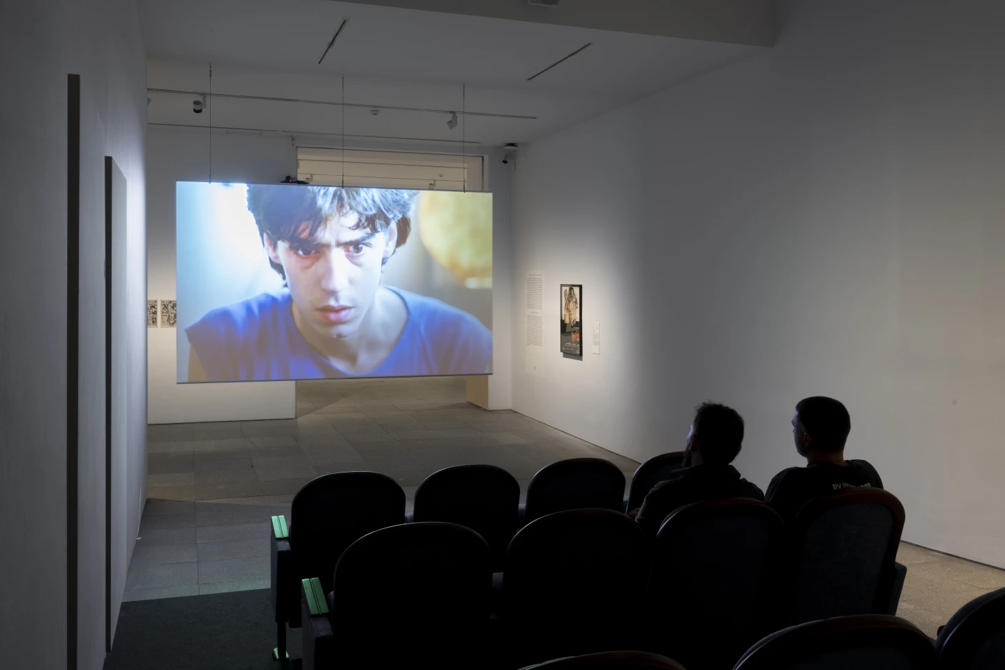 Vista de la Sala 6 «Arrebatos. Estéticas a los pies del caballo». Fotografía: Roberto Ruiz 