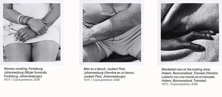 Obras de David Goldblatt en la Colección