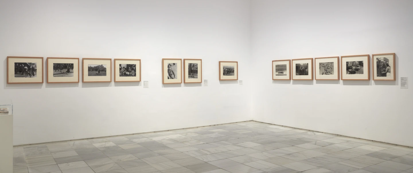 Sala 205.16. Colección Museo Reina Sofía, 2026