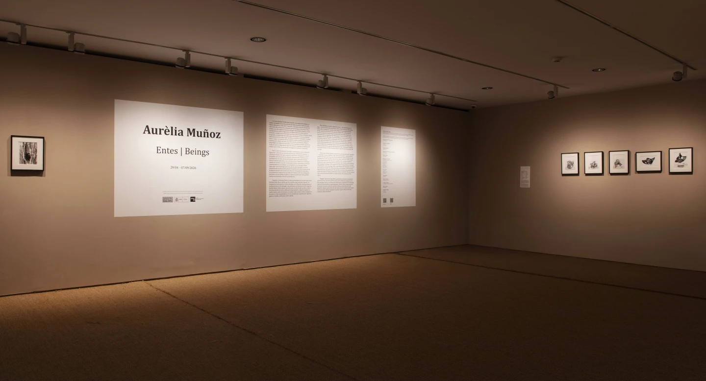 Vista de la entrada a la exposición Aurèlia Muñoz. Entes