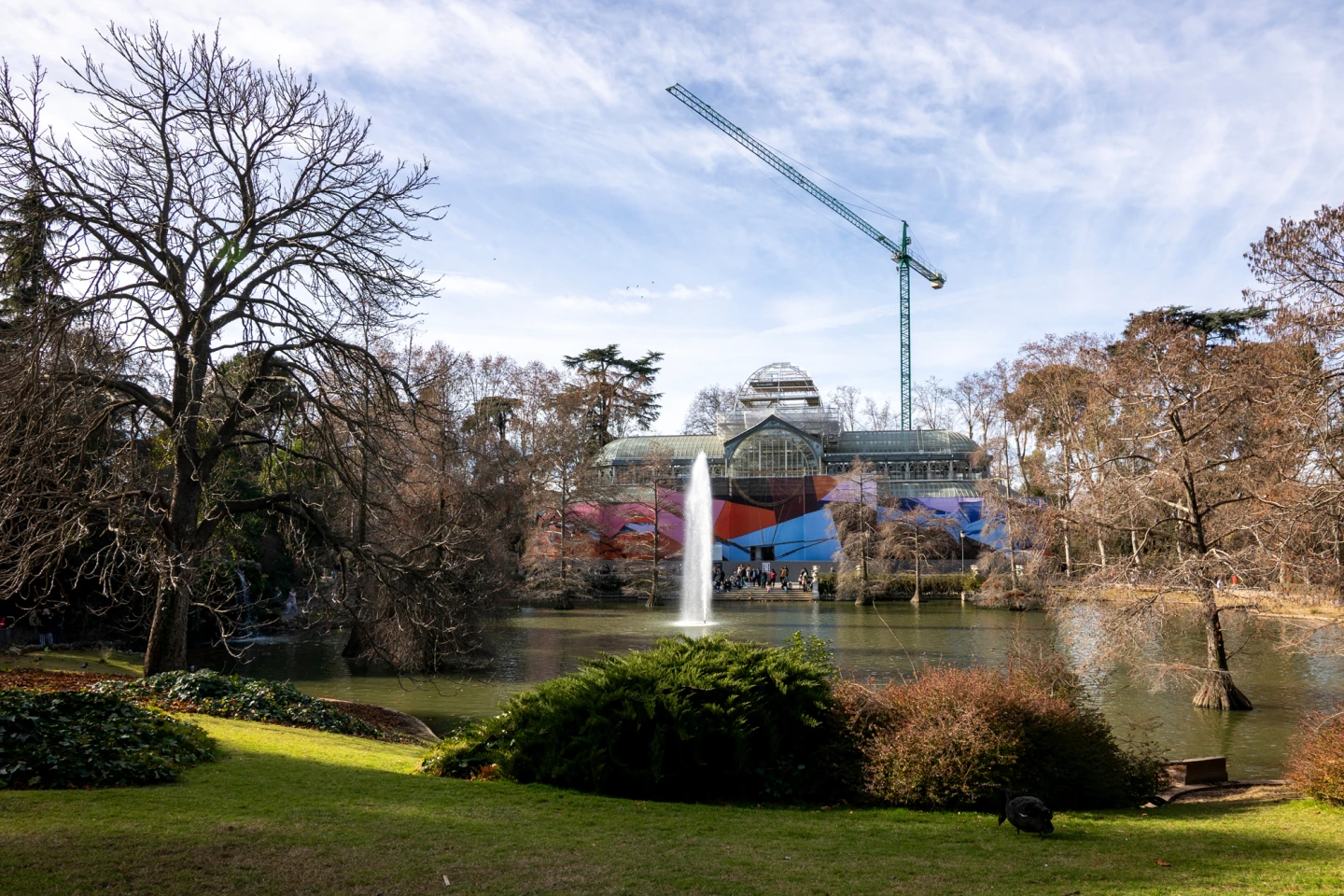 Bundle by Andrea Canepa