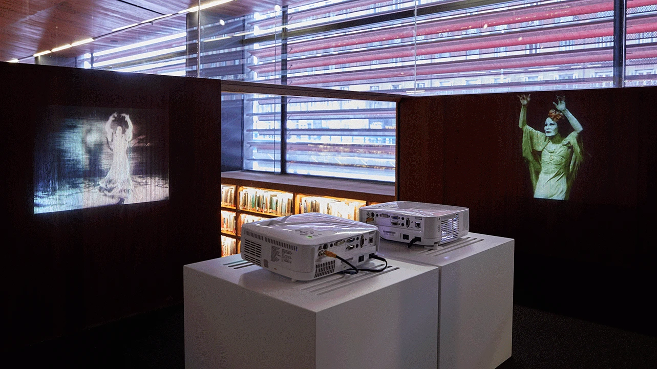 Vista de la exposición Un movimiento que se resiste a ser fijado: Kazuo Ohno y La Argentina, 2018. Fotografía: Joaquín Cortés/Román Lores. Museo Reina Sofía