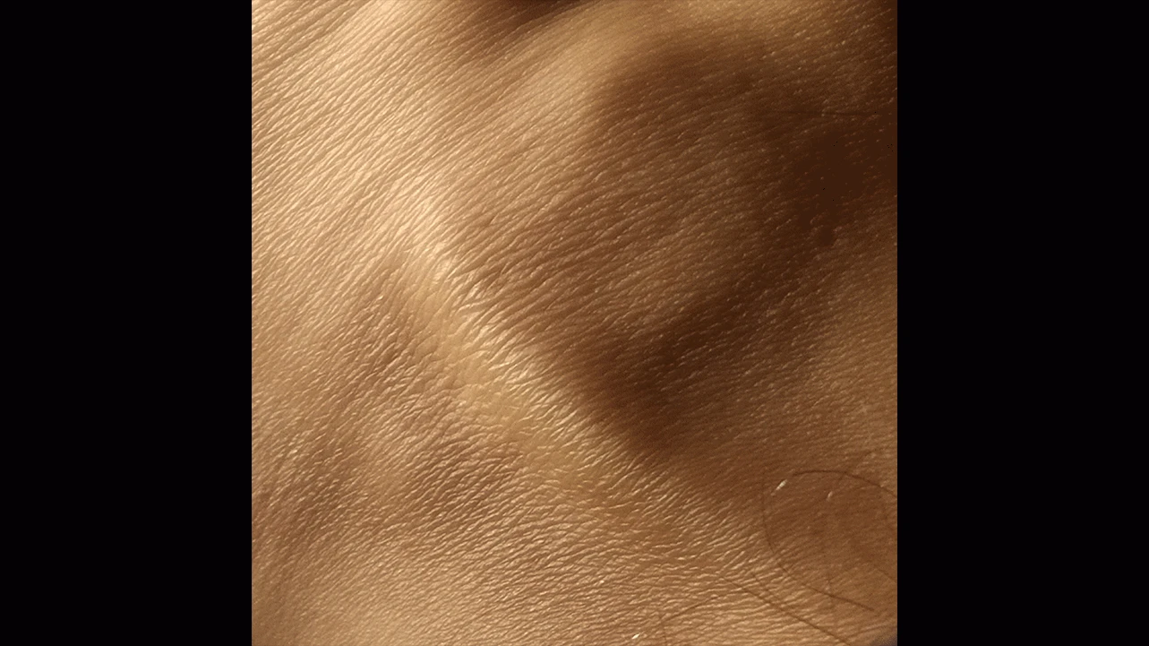 Rubén H. Bermúdez, S/T, 2020