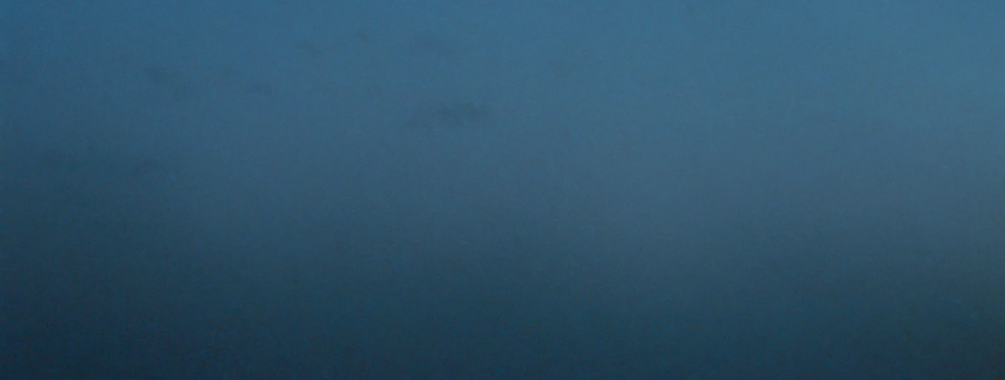 Oliver Laxe. HU هُوَ. Bailad como si nadie os viera, instalación, Museo Reina Sofía, 2025