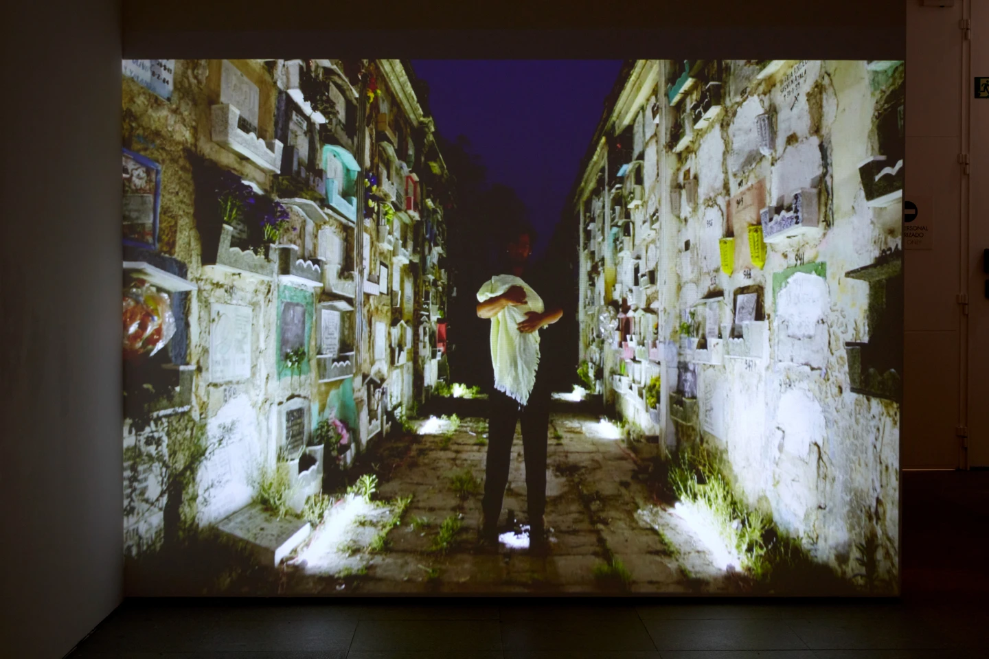 Vista de la exposición Naufus Ramírez-Figueroa. Espectros luminosos, 2025. Museo Reina Sofía