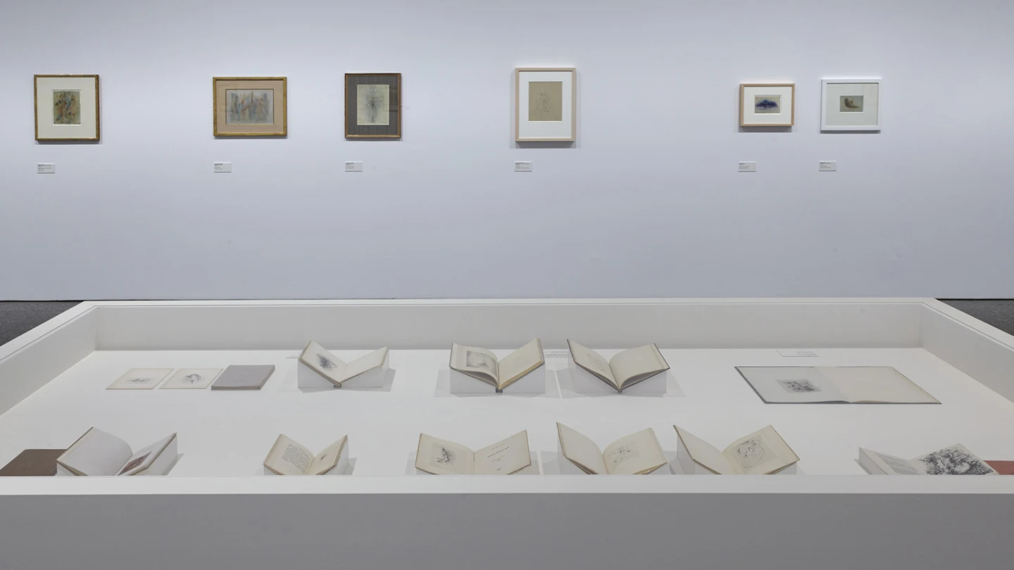 Vista de sala de la exposición Wols: el cosmos y la calle, 2014
