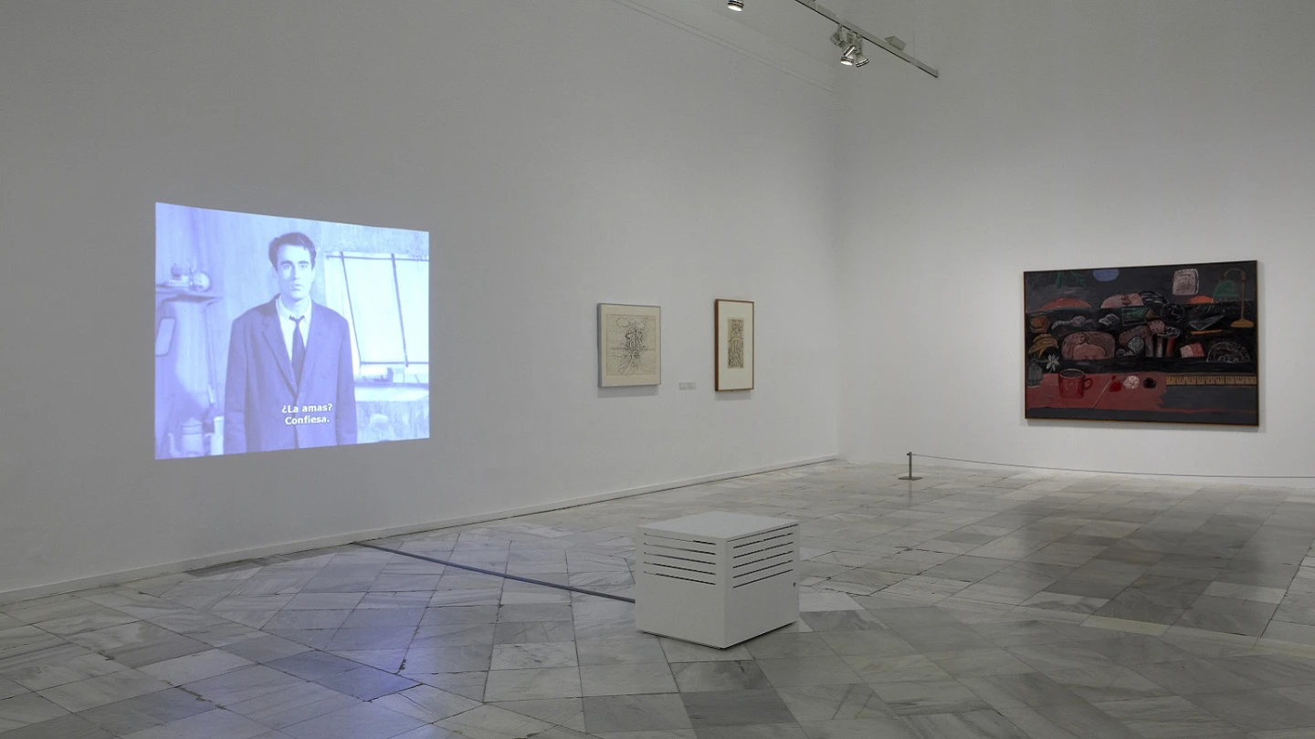 Vista de sala de la exposición. Formas biográficas, 2013