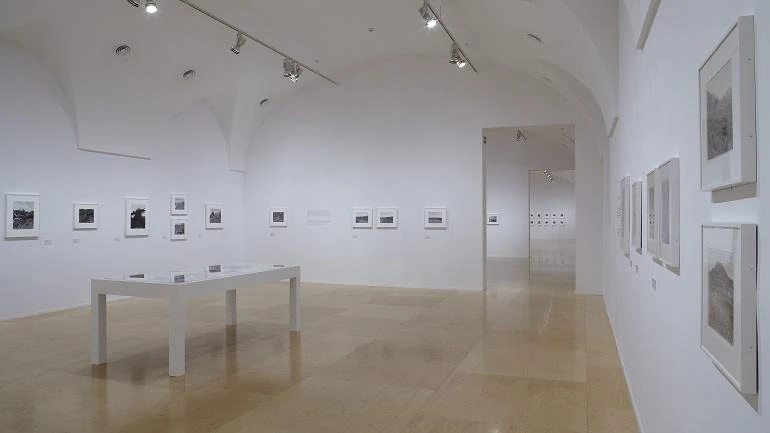 Vista de la sala de la exposición. Robert Adams: el lugar donde vivimos, 2013