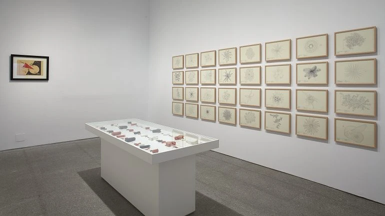Vista de sala de la exposición. Daniel G. Andújar. Sistema operativo, 2015