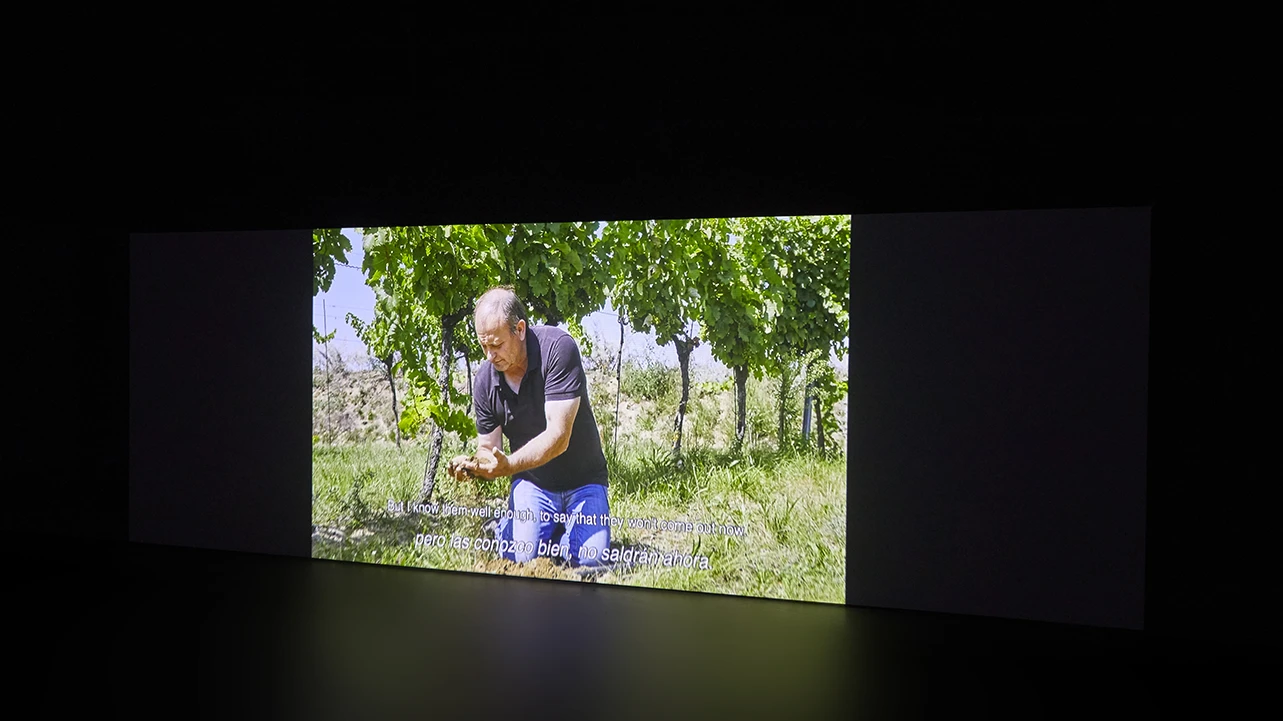 Vista de la exposición Angela Melitopoulos. Cine(so)matrix, 2023