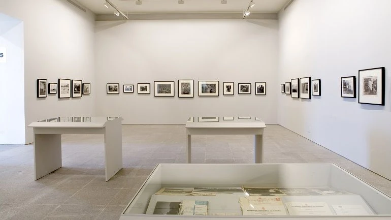 Vista de sala de la exposición. Leonardo Cantero. La dehesa del hoyo, 2008