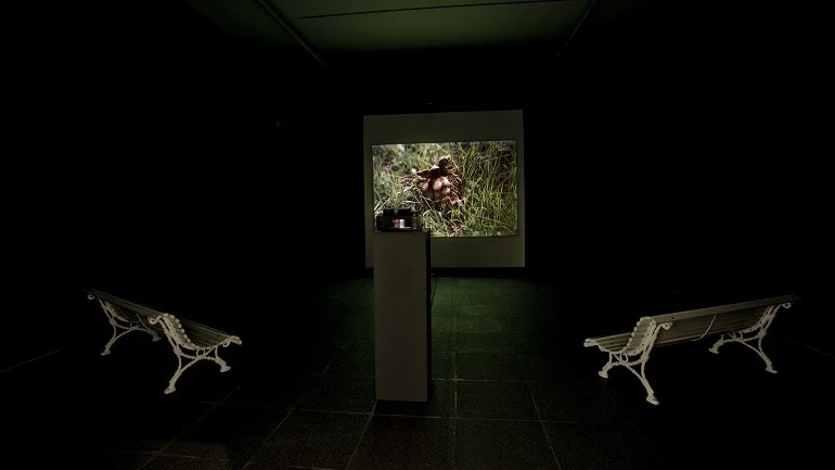 Vista de sala de la exposición. Leonardo Cantero. La dehesa del hoyo, 2008