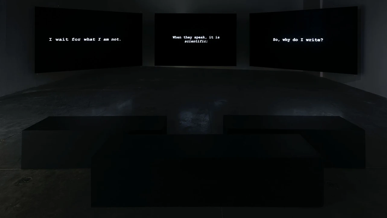 Grada Kilomba, The Desire Project, 2016. Installation View at The Power Plant, Toronto, 2018. Photo by Toni Hafkenscheid. Courtesy of the Artist