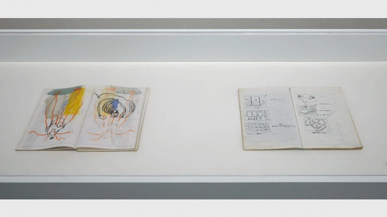 Vista de la exposición Tetsuya Ishida. Autorretrato de otro