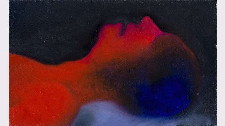 Miriam Cahn, schlafen, Installation, variable dimensions. Detail: oil on canvas No. 5 of 13. Gallery Meyer Riegger Karlsruhe and Gallery Jocelyn Wolff. Photo: Francois Doury © Miriam Cahn