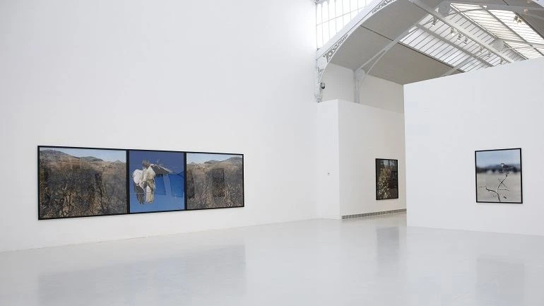 Vista de sala de la exposición. Jean-Luc Mylayne. Trazos del cielo en manos del tiempo, 2010