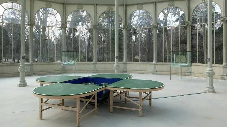 Vista de sala de la exposición. Gabriel Orozco, 2005