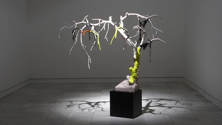 Vista de sala de la exposición. Ester Partegàs. Invasores, 2007