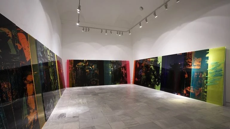 Vista de sala de la exposición. Ester Partegàs. Invasores, 2007