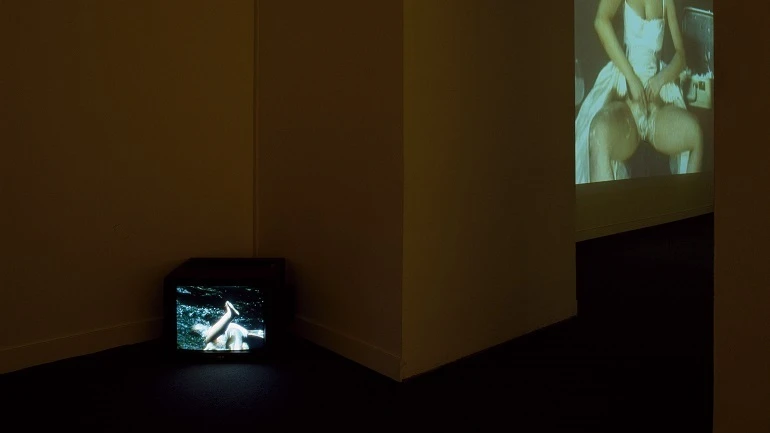 Vista de sala de la exposición. Patty Chang. Ven conmigo, nada contigo. Fuente. Melones. Afeitada, 2000
