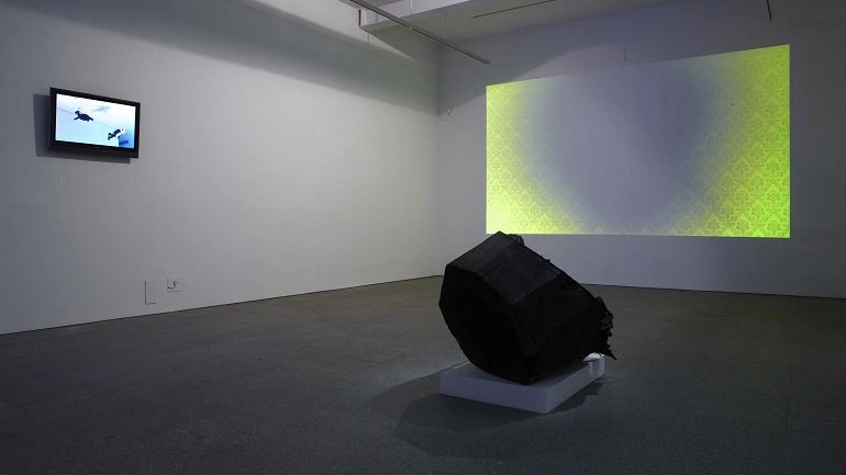 Vista de sala de la exposición. Peter Fischli/David Weiss. ¿Son los animales personas?, 2009