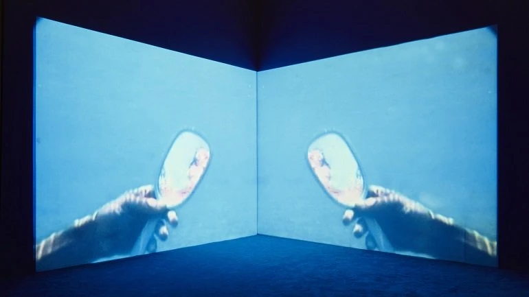 Vista de sala de la exposición. Pipilotti Rist. Apricots along the street, 2001