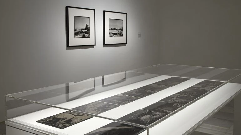 Vista de sala de la exposición. Paloma Polo. Posición aparente, 2012