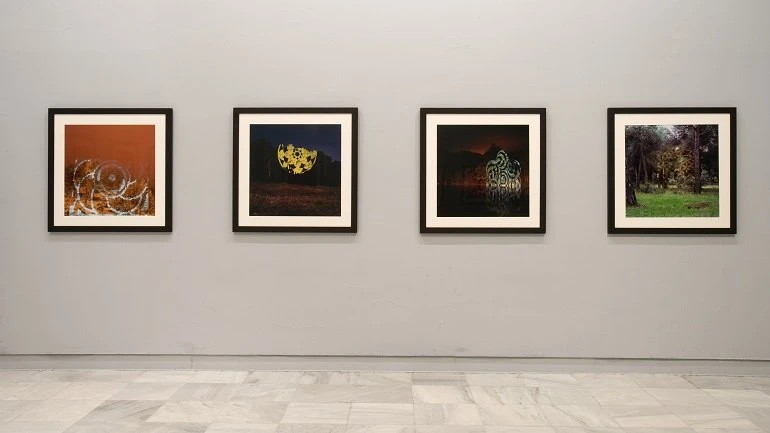 Vista de sala de la exposición. Javier Riera. Noche áurea, 2008