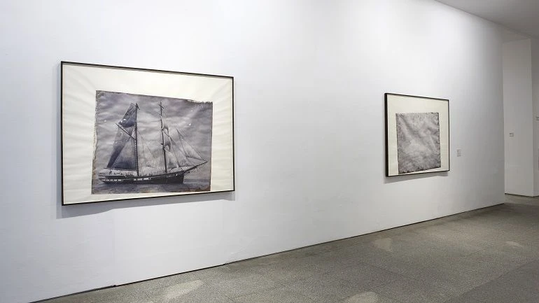 Vista de sala de la exposición. Figure 3. Paul Sietsema, 2009