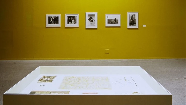 Vista de sala de la exposición. Francisco Toledo, 2000