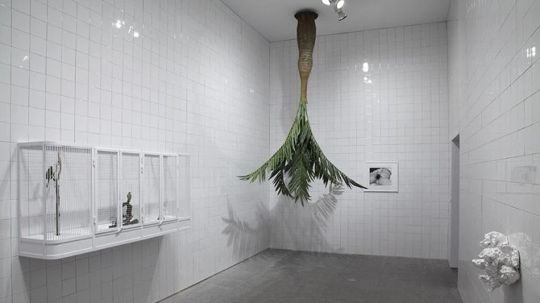 Vista de sala de la exposición. Rosemarie Trockel. un cosmos, 2012 