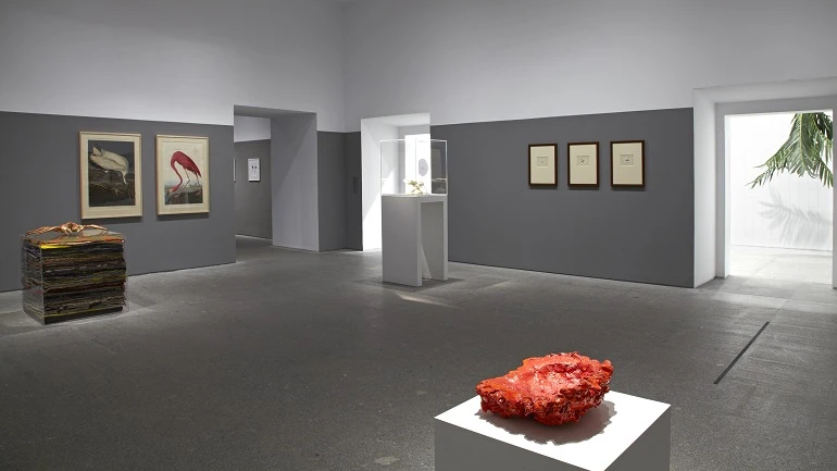 Vista de sala de la exposición. Rosemarie Trockel. un cosmos, 2012 