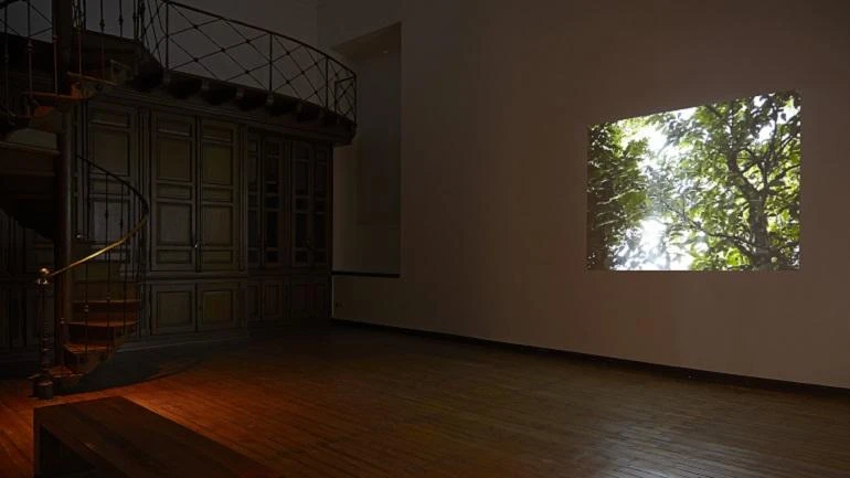 Vista de sala de la exposición Azucena Vieites. Tableau vivant, 2013