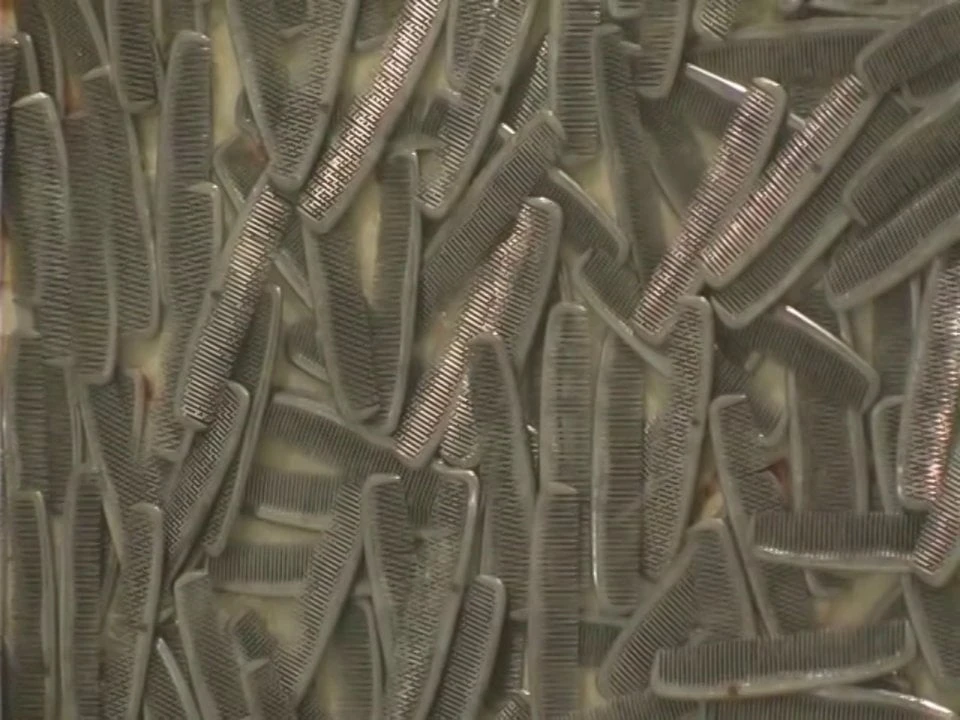 Nuevos Realismos. Presentación de Julia Robinson