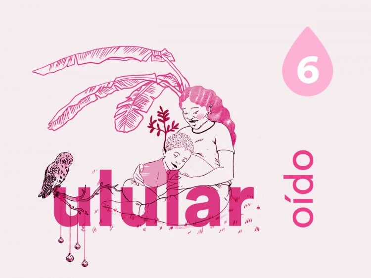 Savia. 6 - Oído