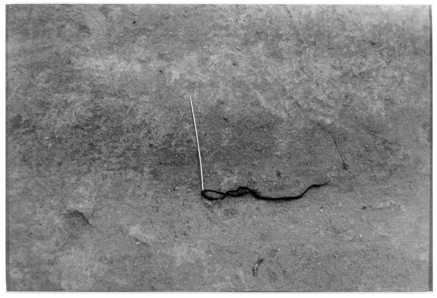 AD01508